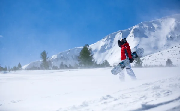 Snowboarder hegyekre panorámás téli ellen — Stock Fotó