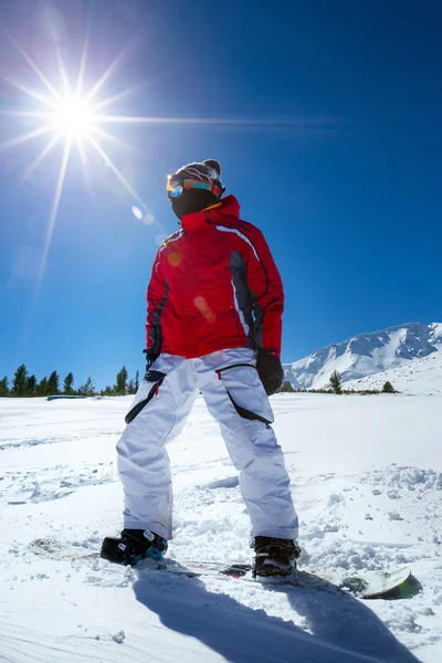 Snowboarder állandó a fedélzeten — Stock Fotó