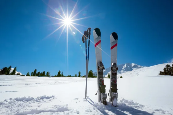 Skiausrüstung im Schnee — Stockfoto