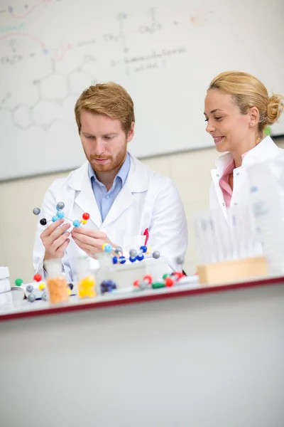 Professor hält und studiert molekulares Modell mit seinem weiblichen Coll — Stockfoto