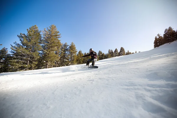 Snowboardåkare och snö — Stockfoto