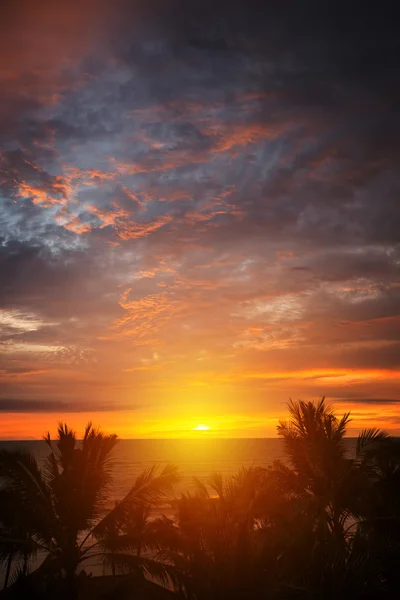 Trópusi napnyugta háttér — Stock Fotó