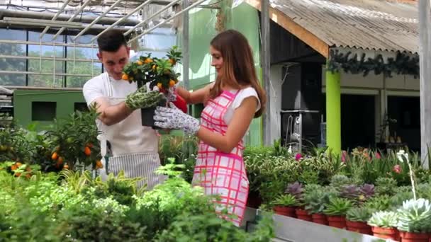 Молодые садовники ухаживают за растением в теплице — стоковое видео