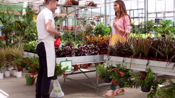 Floristería joven venta de flores en jardín de vidrio — Vídeos de Stock