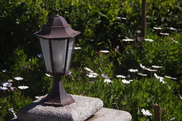 Moderní pouliční lampa na zahradě Ooty, Indie — Stock fotografie