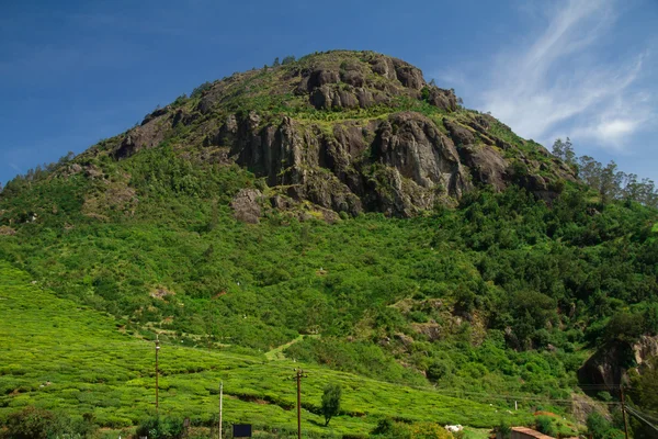 Hoge groene berg in de buurt van Ooty, Tamil Nadu, India Stockafbeelding