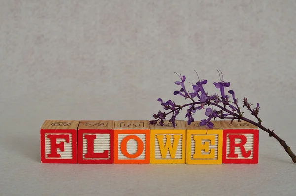 Word çiçek renkli alfabe blokları ile yazıldığından — Stok fotoğraf