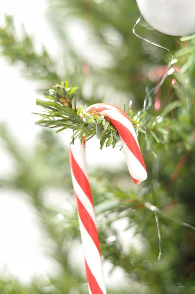Uma bengala de doces pendurada numa árvore de Natal — Fotografia de Stock