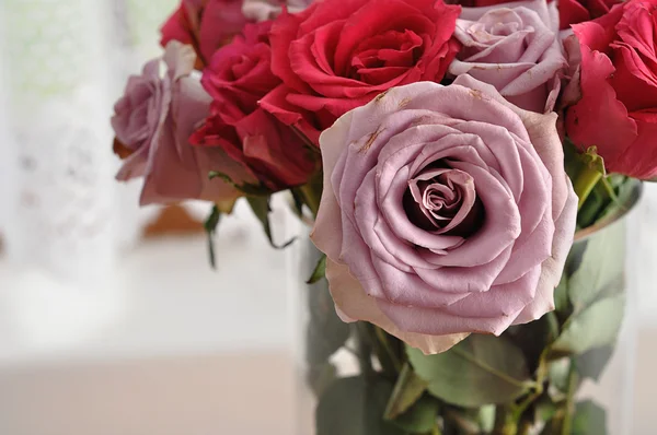 Un ramo de rosas rosadas y moradas — Foto de Stock