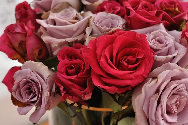 Un ramo de rosas rosadas y moradas — Foto de Stock