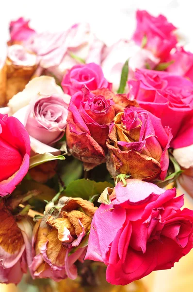 Bouqette de rosas muertas — Foto de Stock