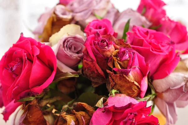Bouqette de rosas muertas — Foto de Stock