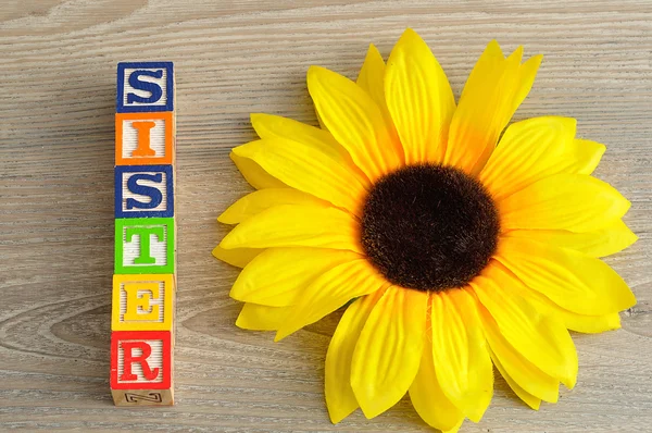 Siostra, pisane z alfabet bloki ze słonecznikiem — Zdjęcie stockowe