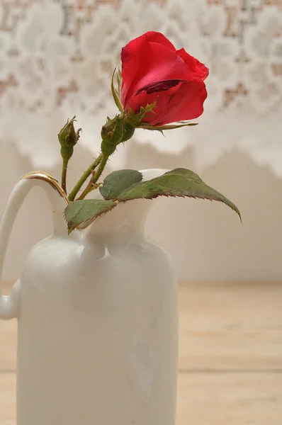 Uma única rosa vermelha em um vaso de flores brancas — Fotografia de Stock