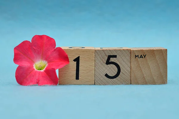 青の背景にペチュニアと木製のブロックで5月15日 — ストック写真