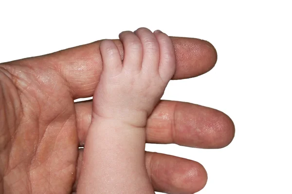 Baby innehav finger — Stockfoto