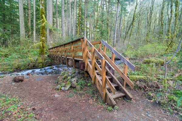 Kuru dere Oregon üzerinde ahşap köprü — Stok fotoğraf