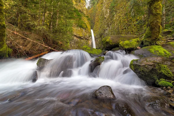 Sub Dry Creek Falls — Fotografie, imagine de stoc