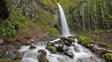 Uzun pozlama pürüzsüz at kuyruğu su kuru dere Falls yeşil yosun ve ferns Columbia Gorge Portland Oregon 1080 p boyunca akan yüksek tanımlı film