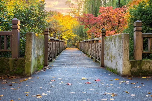 Follaje de otoño en Crystal Springs Rhododendron Garden — Foto de Stock