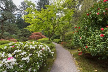 Japon bahçe yolu bahar