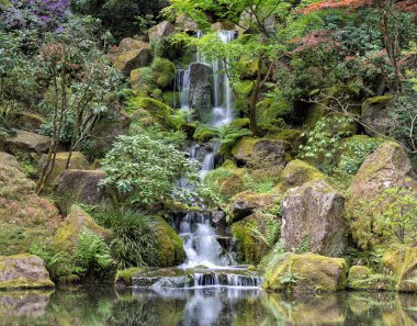 Japon bahçesinde şelale