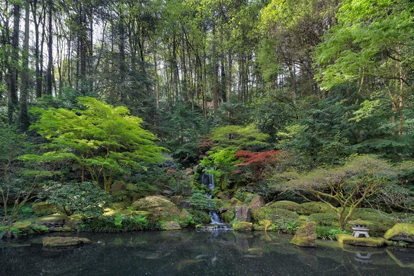 滝と日本庭園の池 — ストック写真