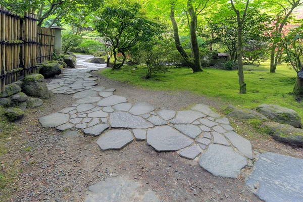 Camino de piedra Pasarela con cerca de bambú Paisaje —  Fotos de Stock