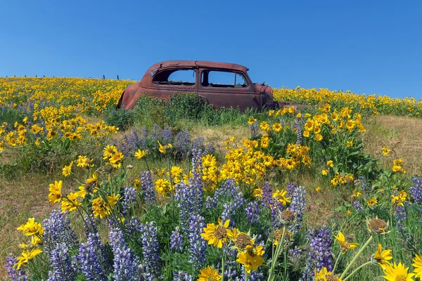 Vecchia auto abbandonata tra i fiori selvatici in primavera — Foto Stock