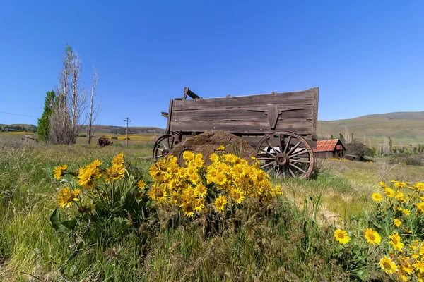 Vecchio vagone al Columbia Hills State Park — Foto Stock