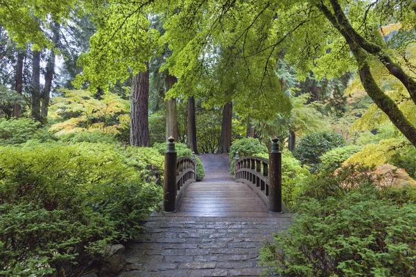 Moon Bridge på japanska trädgård — Stockfoto