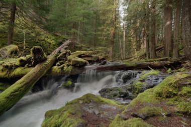 Günlük reçel, panter Creek Şelalesi