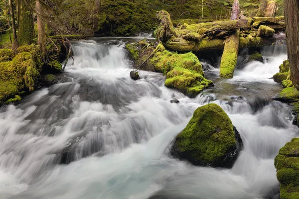 Panther Creek w stanie Waszyngton — Zdjęcie stockowe