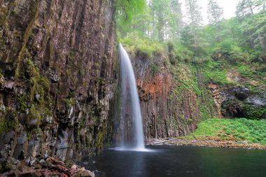 Abiqua Falls Side View One Foggy Morning clipart