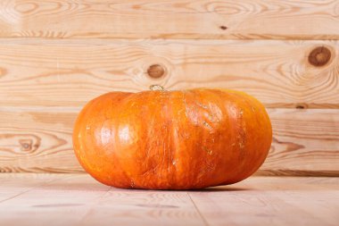 Hafif ahşap zemin üzerinde renkli bir balkabağı. Cadılar Bayramı