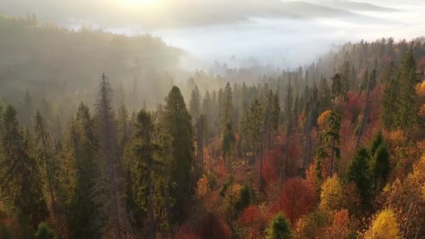 Podzimní Alpské Pozadí Večerní Krajina Mlhou Úsvit Horách Padající Pozadí — Stock video