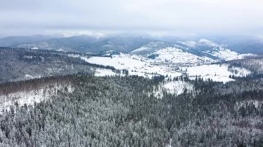 Kışın kar yağarken dağ ormanı. Dağlardaki Bukovel köyü