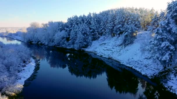 川の上に美しい日の出 雪の水の近くの木覆われた 川の氷だ 冬の風景 太陽光線 旅行シーズン — ストック動画