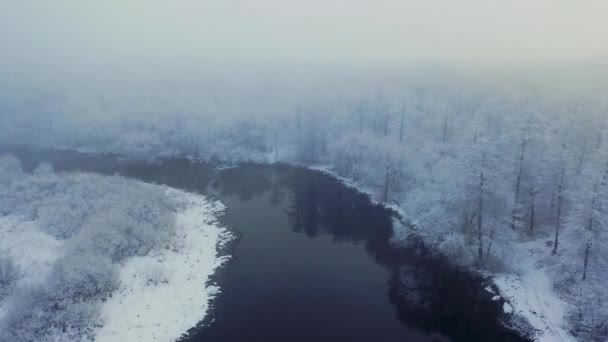 Repülés Téli Erdő Felett Hóval Borított Fák Köd Napkelte Fagyos — Stock videók