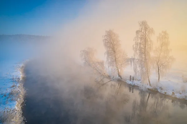 Magic Sunlight Illuminates Trees Covered Frost Crystal White Trees Winter — Stock Photo, Image