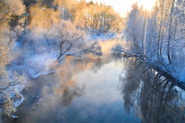 Sunlight Illuminates Trees Covered Frost Crystal White Trees Winter Morning — Stock Photo, Image