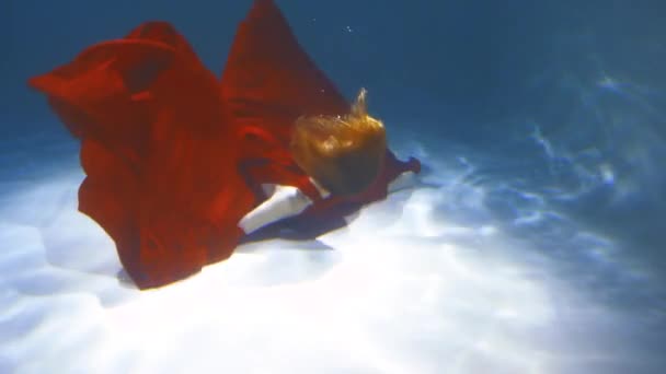 European Girl Guy Have Some Fun Underwater — Stock video