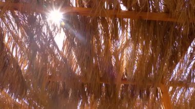 Yeşillik renginde güzel bir rüzgar hareketi