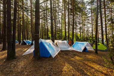 Yaz tatilinde küçük bir çadır kampı ve ormanda yürüyüş. Turistler yazın ormanda yaşarlar.