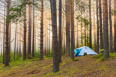 Ormandaki bir çadırda bir gece. Çam ormanında sisli bir sabah. Bir adam yazın çadırda yaşar.