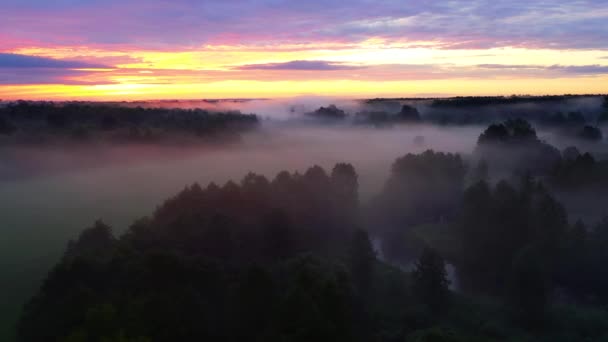 Piękny Zachód Słońca Mgle Nad Rzeką Wieczorem Krajobraz Lesie Typowy — Wideo stockowe