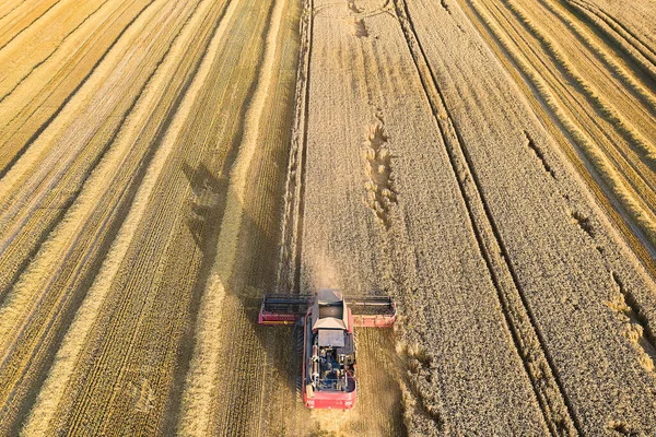 Récolte Avec Des Machines Agricoles Une Moissonneuse Batteuse Batteuse Moderne — Photo