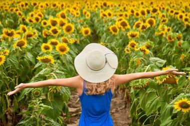 Anın tadını çıkar. Güneşli, güzel, neşeli genç bir kızın el ele tutuşup güneşin doğuşunu ya da batışını seyrettiği bir resim. Ayçiçeği tarlasında tek başına dur.