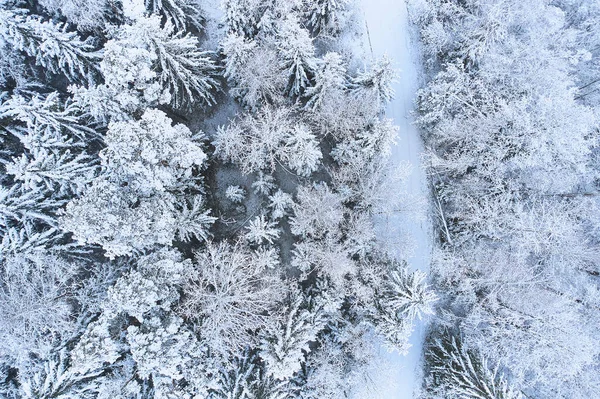 Winterliches Waldmuster Von Oben Schöne Landschaft Februar — Stockfoto