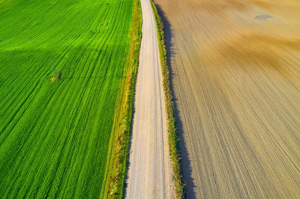 Uma Fotografia Lacônica Rica Campos Verdes Arenosos Com Uma Estrada — Fotografia de Stock